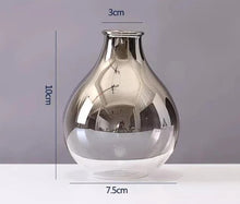 Load image into Gallery viewer, Silver Gradient Decorative Glass Vases
